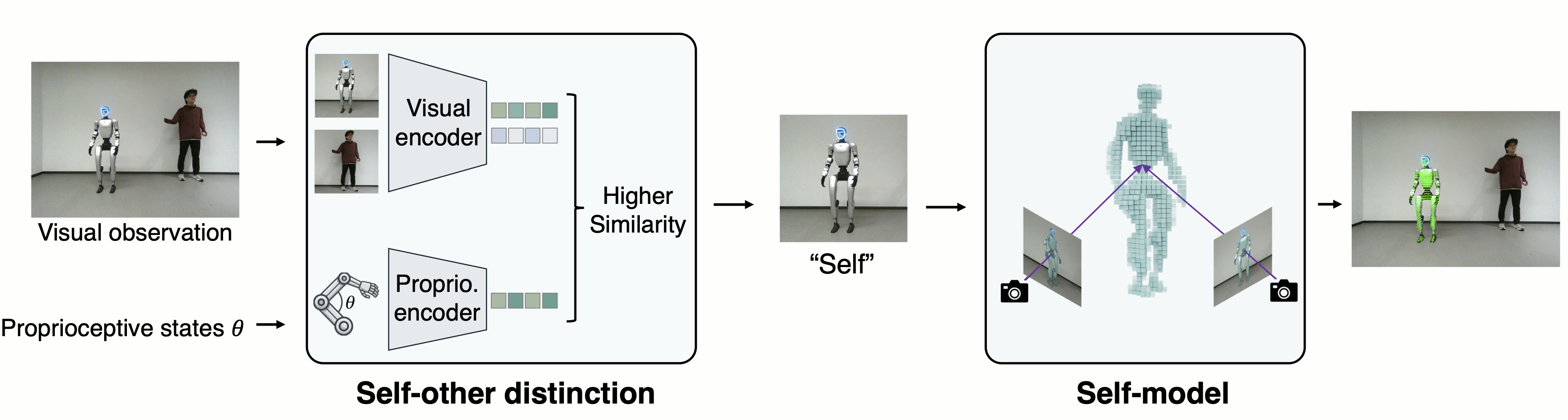 Pipeline from proprioceptive-visual correspondence to self-modeling