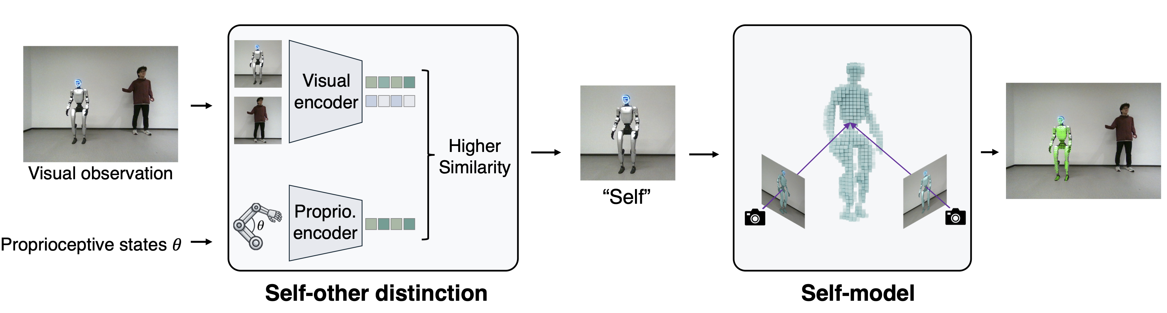 Pipeline from proprioceptive-visual correspondence to self-modeling